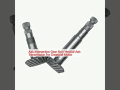 Przesyłka osi przecinkowej niepionowa dla silnika Greatwall